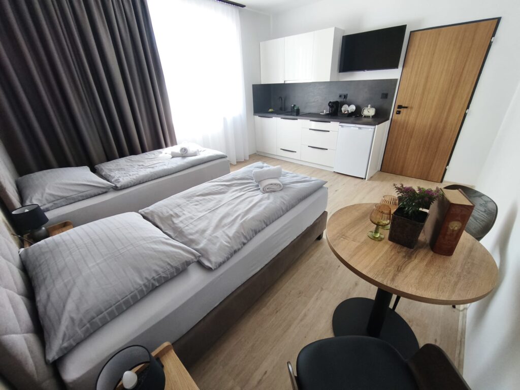Apartmán č. 1 deluxe